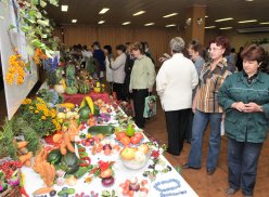 Урожай горячего лета-2010