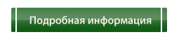 Полное описание инвертора Форсаж-161